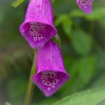 ob视讯娱乐的安全性分析:玩家应注意的事项与建议 2429tyy62