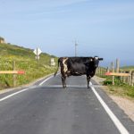 k体育官网下载:畅享体育赛事直播的最佳选择 5udxjy