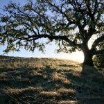 mk体育平台的优势与特色:让你畅享体育博彩的乐趣 dzg8dtw