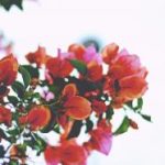 MK体育:探索运动科技如何改变我们的健身体验 e1aveg