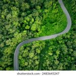 qsty8.app的功能解析:如何提升你的工作效率 l11yncf