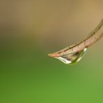 888娱乐平台的优势:安全、便捷与高额奖金的完美结合 nw1vfakrwj