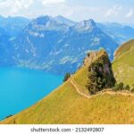 041期开奖结果公布,最新中奖号码已揭晓 0vlp44haf