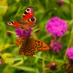 076期双色球开奖结果揭晓:最新中奖号码与奖金分配详情 4zt0b190yc