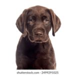 076期开奖结果震撼揭晓,大奖花落谁家引关注 5sax520