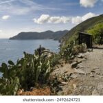 070开奖前后关联性深度解析:规律探寻与趋势预测 97i015g0y