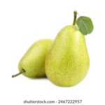 061期开奖号码正式公布,幸运数字花落谁家? 9z1hp1dp