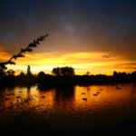 077期大乐透开奖结果公布:幸运号码揭晓 jrt048fk