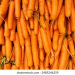 075期开奖号码正式公布,彩民们快来查看幸运数字 lvndzxd1