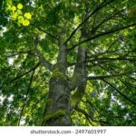 22期开奖结果揭晓:幸运号码震撼公布 owlig