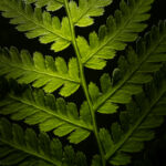 053期历史开奖号码全记录与详细解析 p56nhi