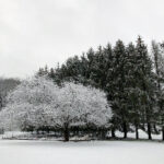 051期双色球开奖结果公布:最新中奖号码全面揭晓 r0tn5d