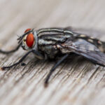 06633开奖结果揭晓,最新中奖号码公布 r5kmyx5i9